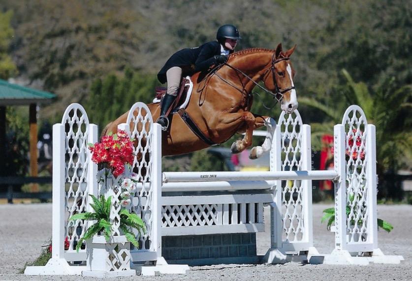 What Is MTMHungHorse? Understanding Its Origins and Impact